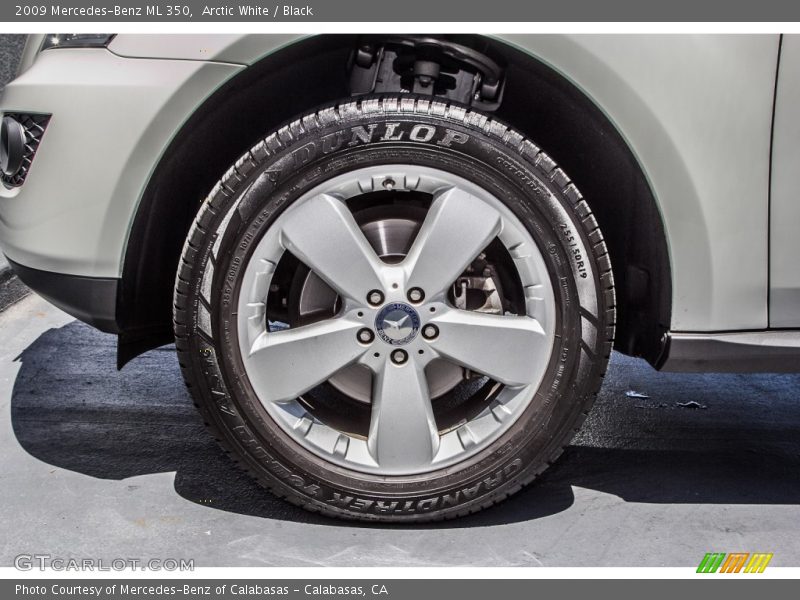 Arctic White / Black 2009 Mercedes-Benz ML 350