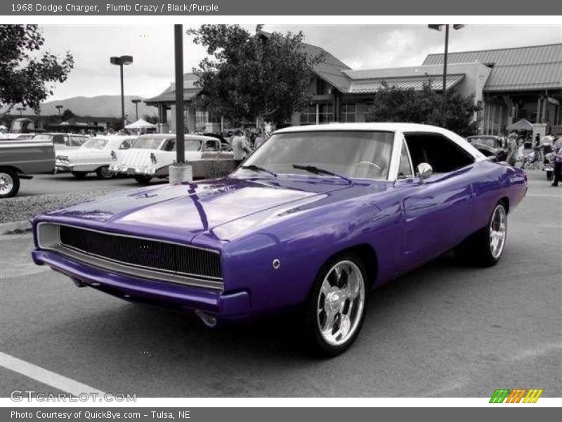 Plumb Crazy / Black/Purple 1968 Dodge Charger