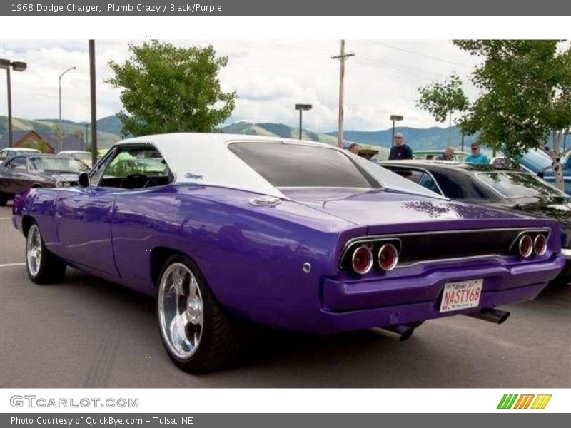 Plumb Crazy / Black/Purple 1968 Dodge Charger