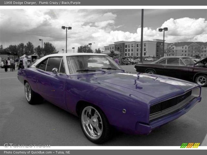 Plumb Crazy / Black/Purple 1968 Dodge Charger