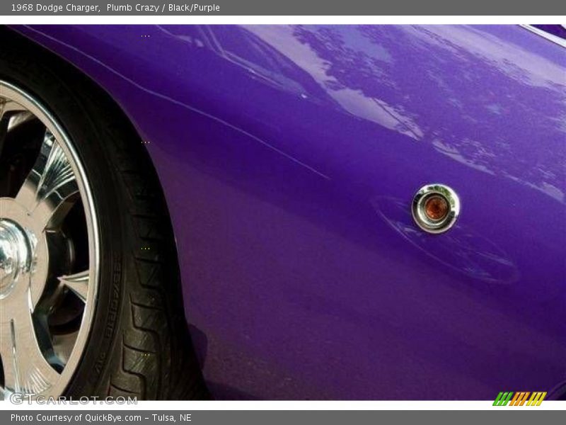 Plumb Crazy / Black/Purple 1968 Dodge Charger