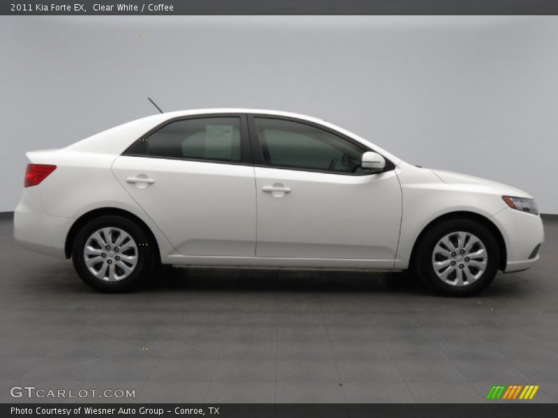 Clear White / Coffee 2011 Kia Forte EX