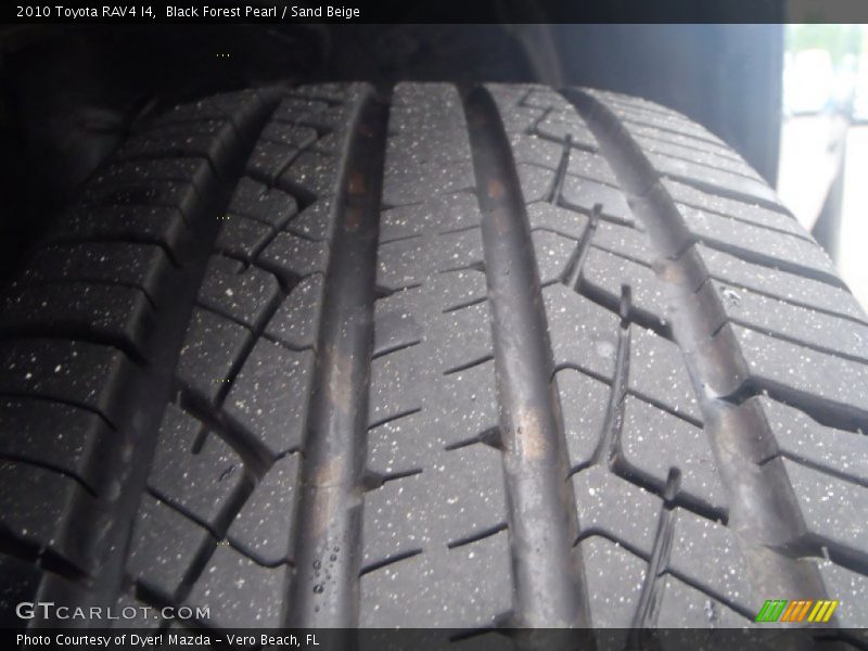 Black Forest Pearl / Sand Beige 2010 Toyota RAV4 I4