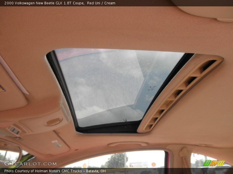 Red Uni / Cream 2000 Volkswagen New Beetle GLX 1.8T Coupe