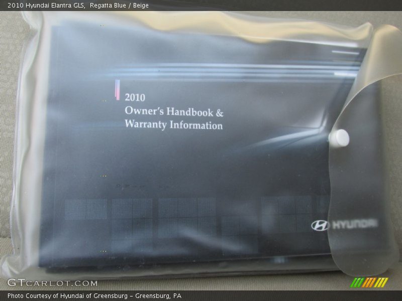 Regatta Blue / Beige 2010 Hyundai Elantra GLS