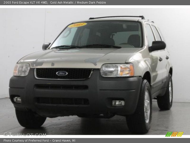 Gold Ash Metallic / Medium Dark Pebble 2003 Ford Escape XLT V6 4WD