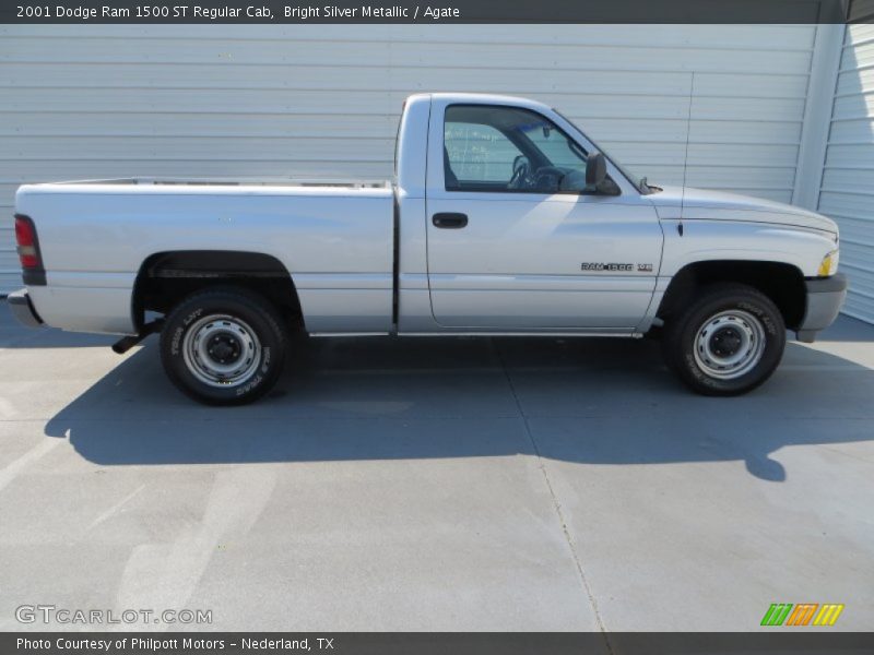 Bright Silver Metallic / Agate 2001 Dodge Ram 1500 ST Regular Cab