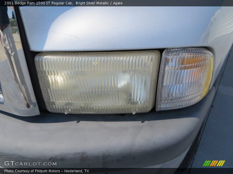 Bright Silver Metallic / Agate 2001 Dodge Ram 1500 ST Regular Cab