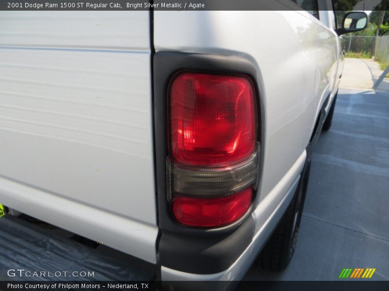 Bright Silver Metallic / Agate 2001 Dodge Ram 1500 ST Regular Cab