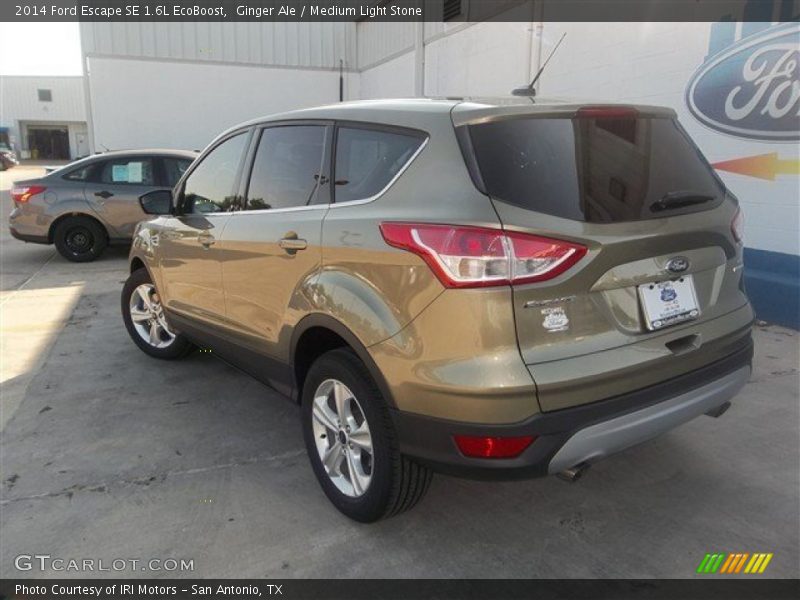 Ginger Ale / Medium Light Stone 2014 Ford Escape SE 1.6L EcoBoost