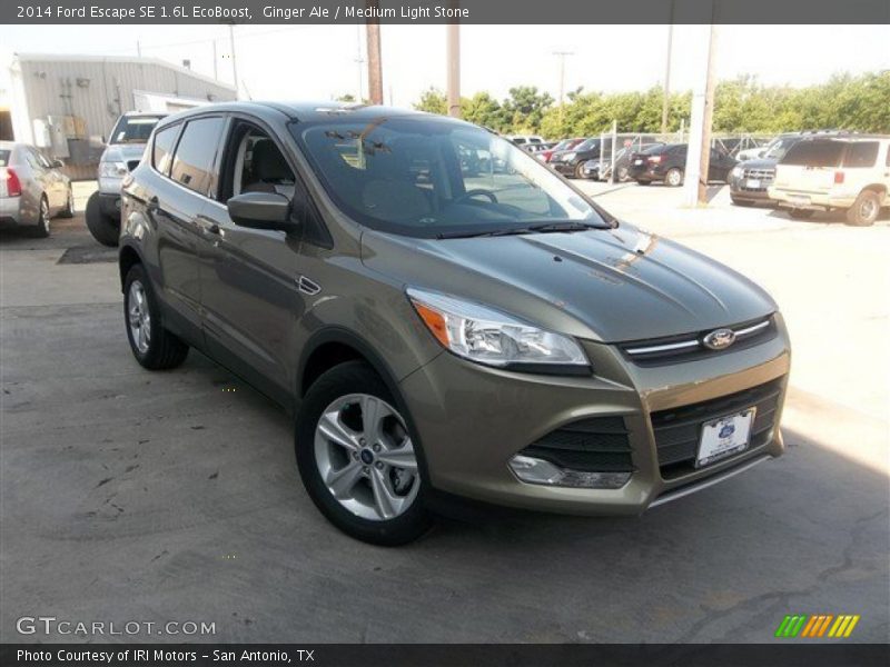 Ginger Ale / Medium Light Stone 2014 Ford Escape SE 1.6L EcoBoost