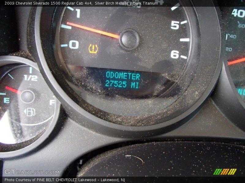 Silver Birch Metallic / Dark Titanium 2009 Chevrolet Silverado 1500 Regular Cab 4x4