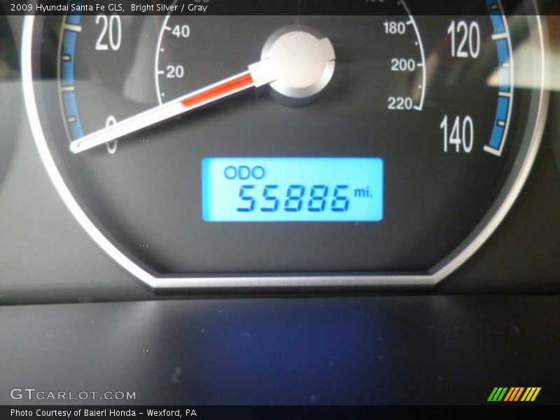 Bright Silver / Gray 2009 Hyundai Santa Fe GLS