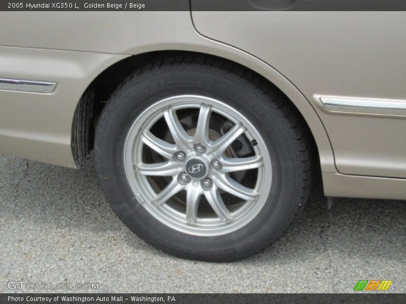 Golden Beige / Beige 2005 Hyundai XG350 L