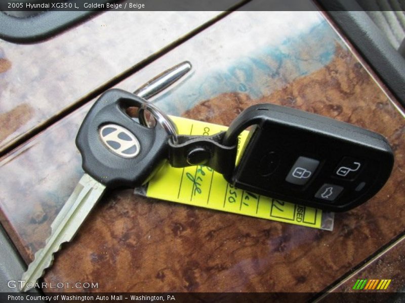 Golden Beige / Beige 2005 Hyundai XG350 L