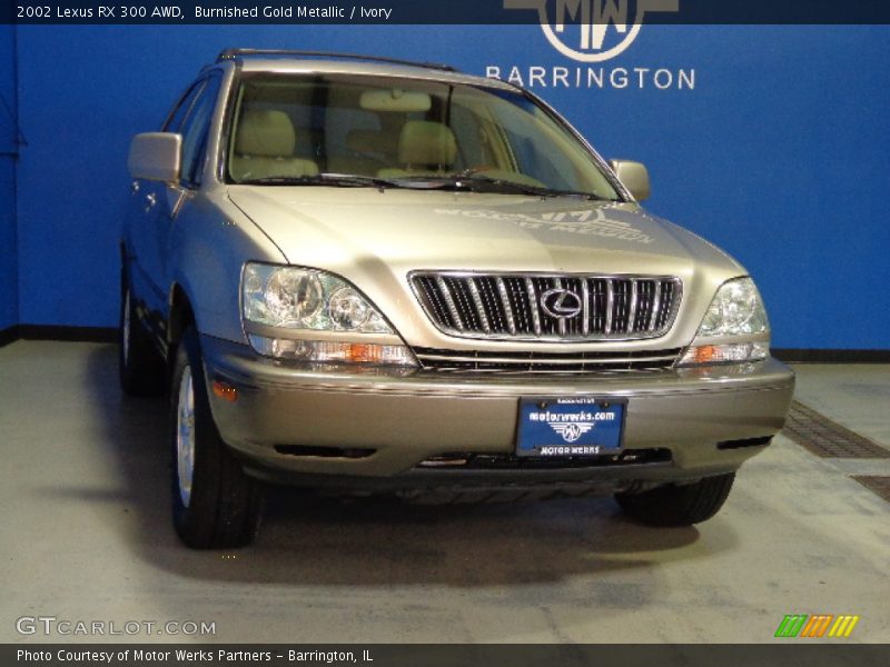 Burnished Gold Metallic / Ivory 2002 Lexus RX 300 AWD