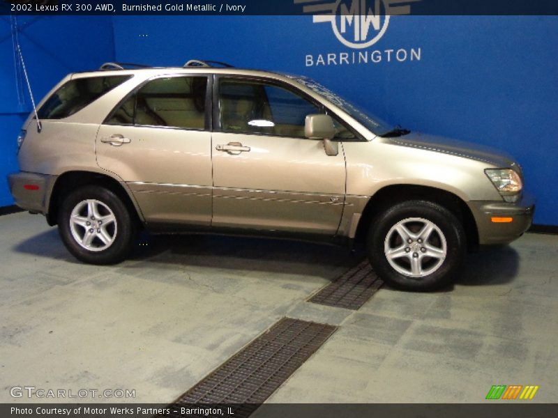 Burnished Gold Metallic / Ivory 2002 Lexus RX 300 AWD