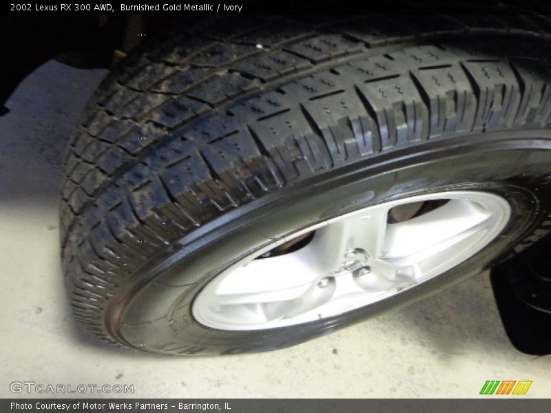 Burnished Gold Metallic / Ivory 2002 Lexus RX 300 AWD