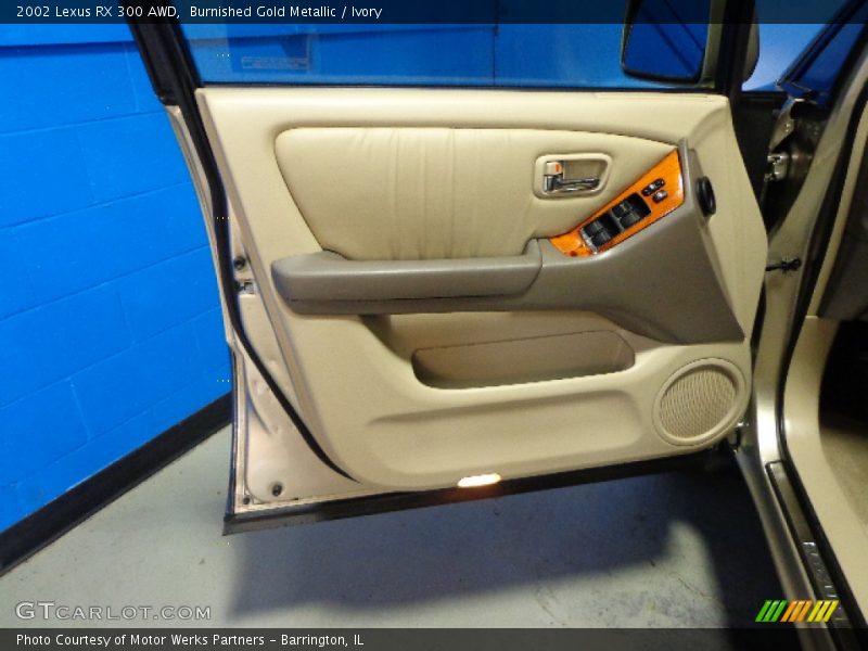 Door Panel of 2002 RX 300 AWD