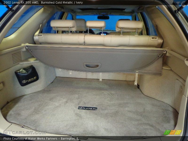  2002 RX 300 AWD Trunk