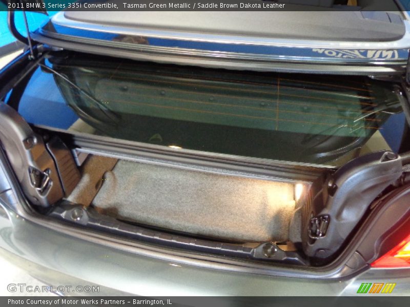 Tasman Green Metallic / Saddle Brown Dakota Leather 2011 BMW 3 Series 335i Convertible