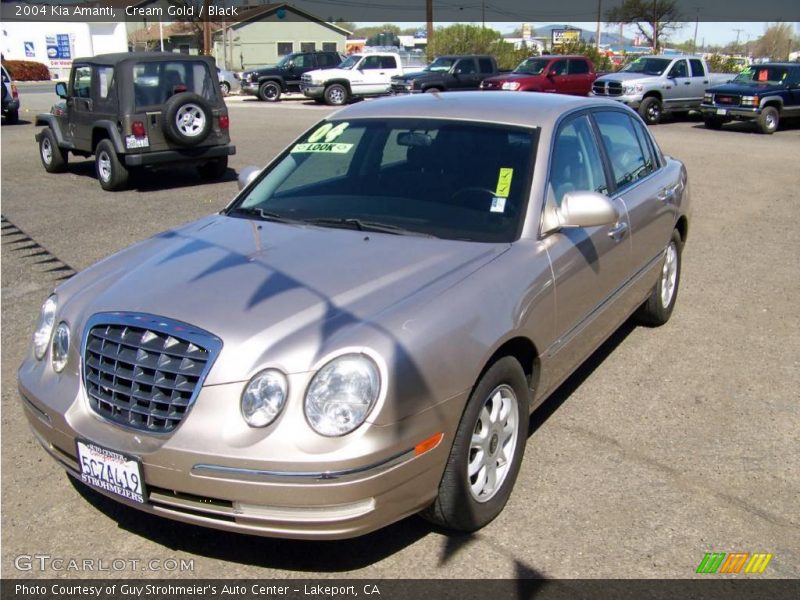 Cream Gold / Black 2004 Kia Amanti