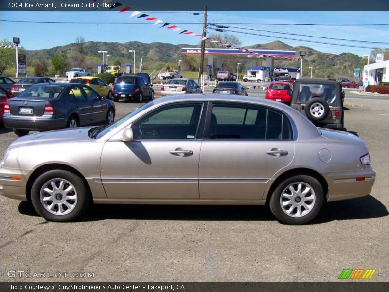 Cream Gold / Black 2004 Kia Amanti