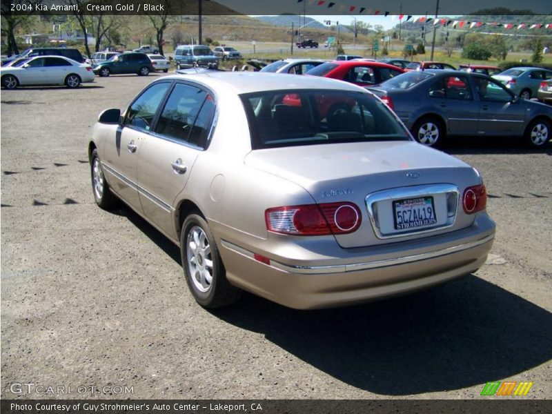 Cream Gold / Black 2004 Kia Amanti