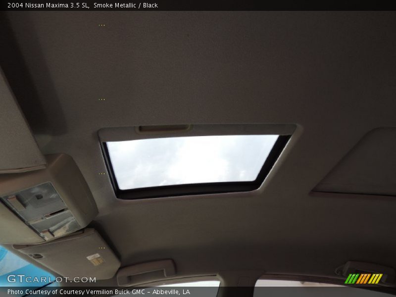 Smoke Metallic / Black 2004 Nissan Maxima 3.5 SL