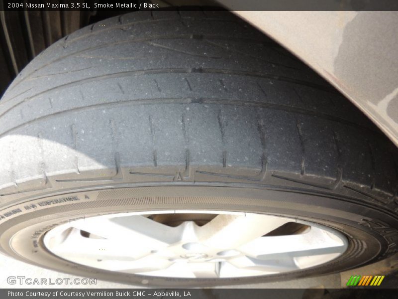 Smoke Metallic / Black 2004 Nissan Maxima 3.5 SL