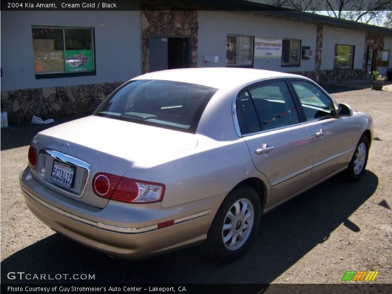 Cream Gold / Black 2004 Kia Amanti