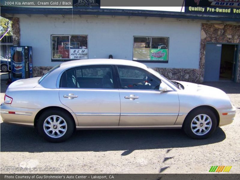 Cream Gold / Black 2004 Kia Amanti