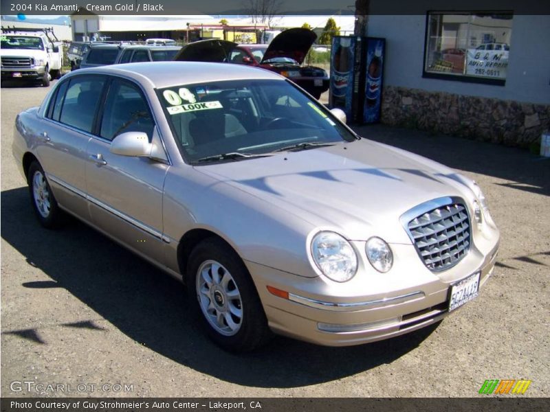 Cream Gold / Black 2004 Kia Amanti