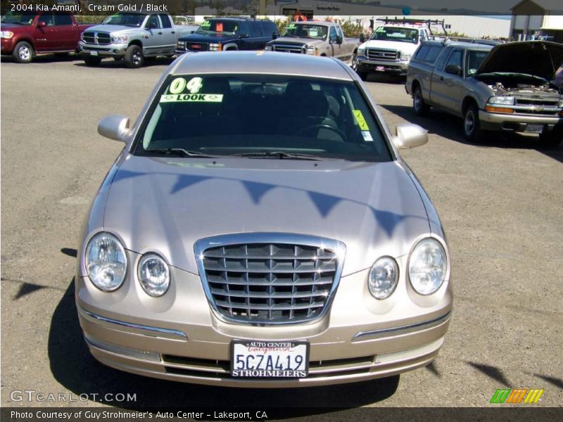Cream Gold / Black 2004 Kia Amanti