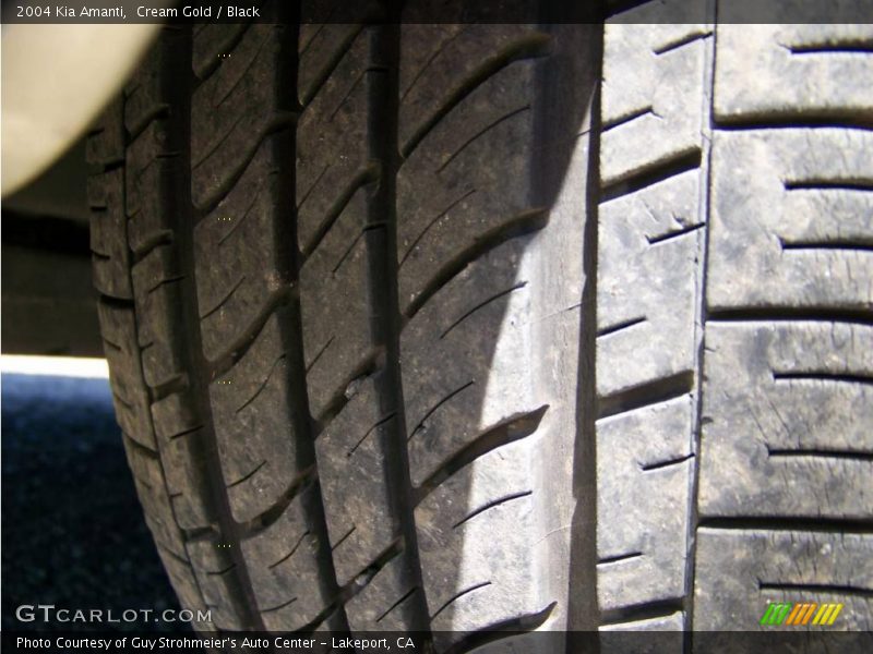 Cream Gold / Black 2004 Kia Amanti