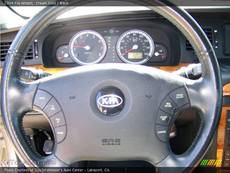 Cream Gold / Black 2004 Kia Amanti