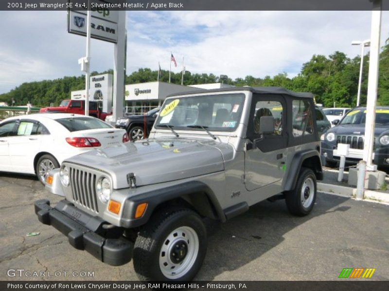 Silverstone Metallic / Agate Black 2001 Jeep Wrangler SE 4x4