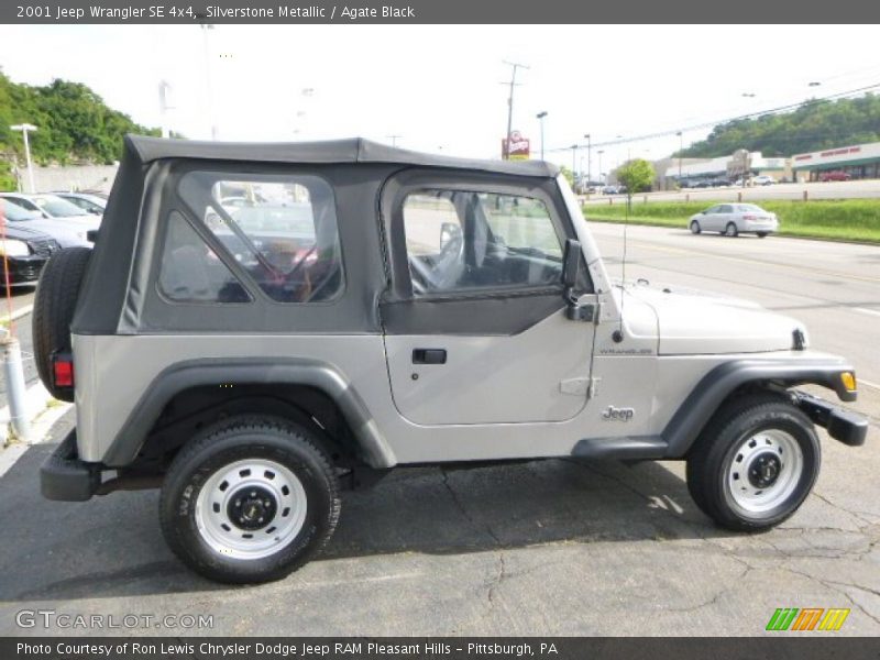 Silverstone Metallic / Agate Black 2001 Jeep Wrangler SE 4x4