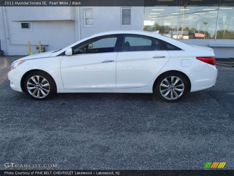 Pearl White / Black 2011 Hyundai Sonata SE