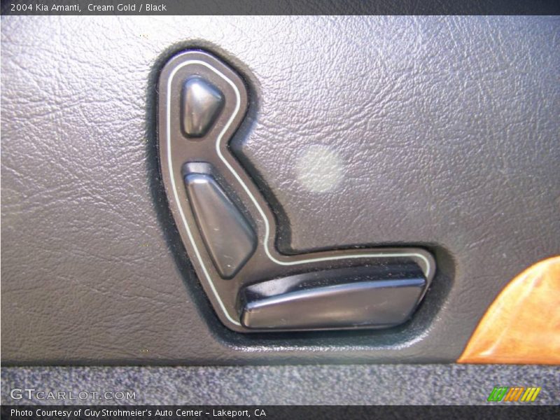 Cream Gold / Black 2004 Kia Amanti