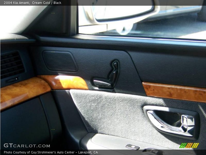 Cream Gold / Black 2004 Kia Amanti