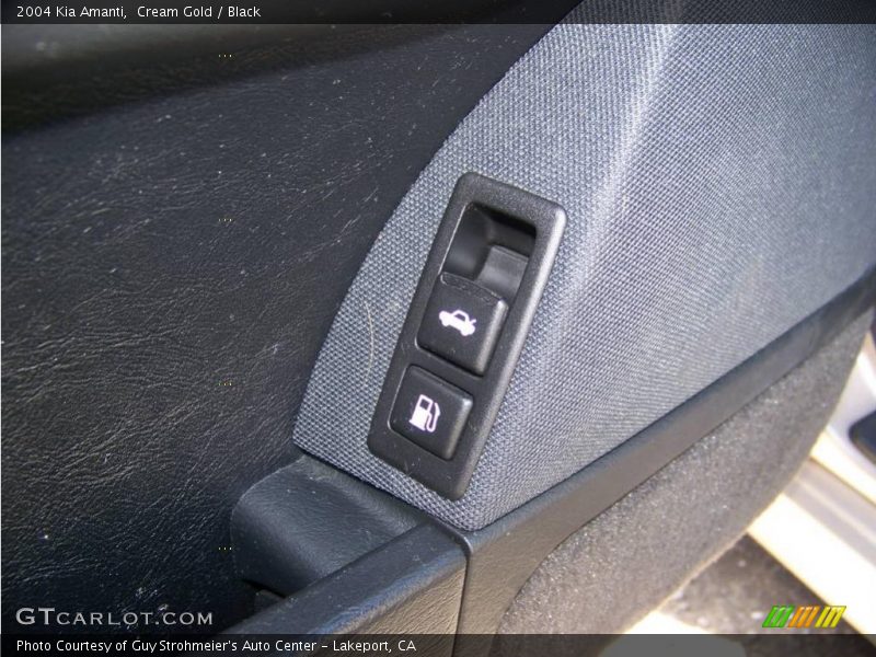 Cream Gold / Black 2004 Kia Amanti