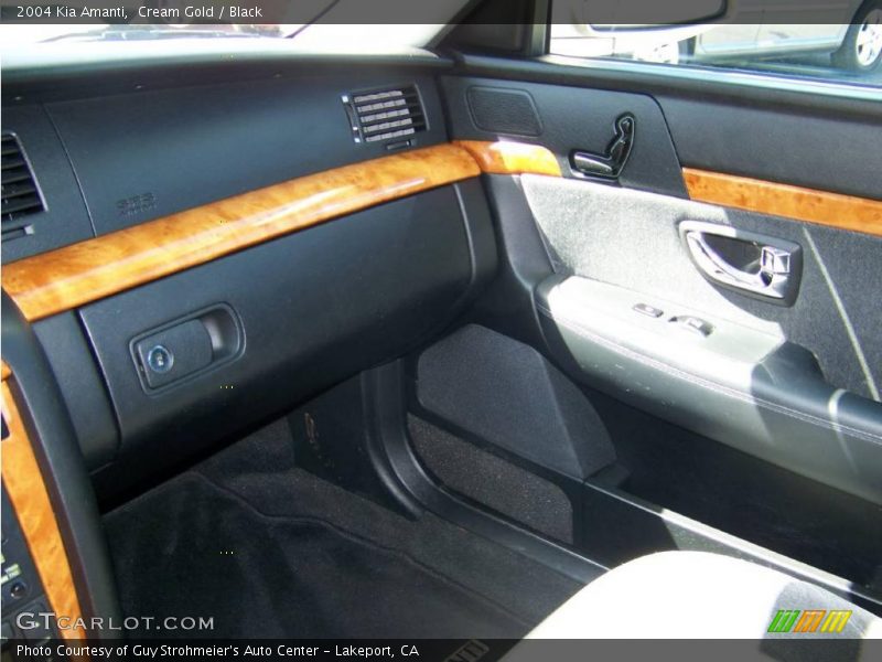Cream Gold / Black 2004 Kia Amanti