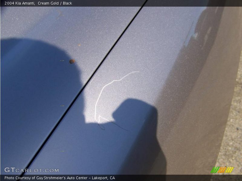 Cream Gold / Black 2004 Kia Amanti