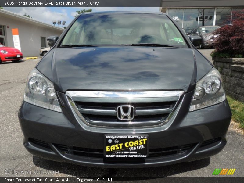 Sage Brush Pearl / Gray 2005 Honda Odyssey EX-L