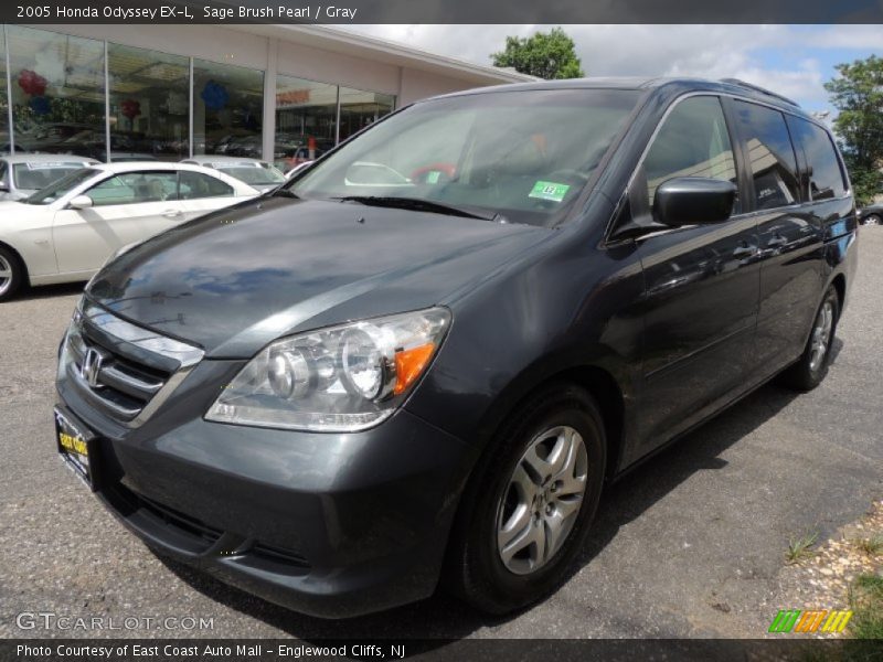 Sage Brush Pearl / Gray 2005 Honda Odyssey EX-L