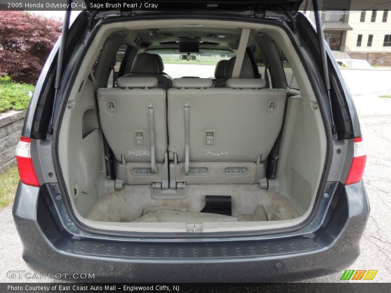 Sage Brush Pearl / Gray 2005 Honda Odyssey EX-L