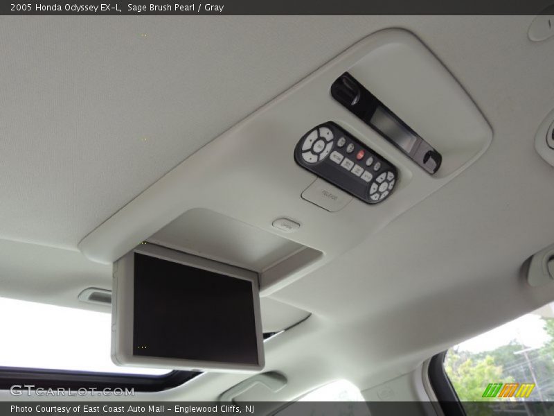 Sage Brush Pearl / Gray 2005 Honda Odyssey EX-L