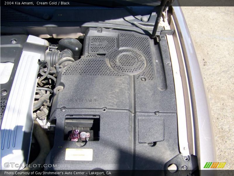 Cream Gold / Black 2004 Kia Amanti