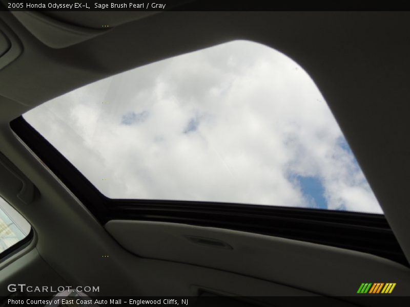 Sage Brush Pearl / Gray 2005 Honda Odyssey EX-L